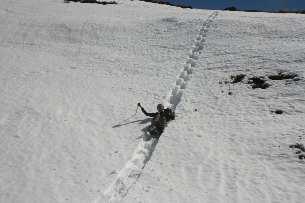 Ciaspole cervinia